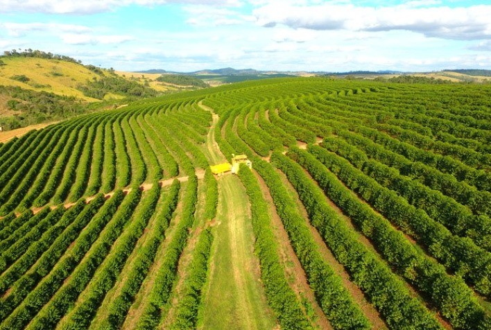 5º Fórum Café e Clima da Cooxupé apresentará interferências climáticas na safra cafeeira em diversas regiões do Brasil