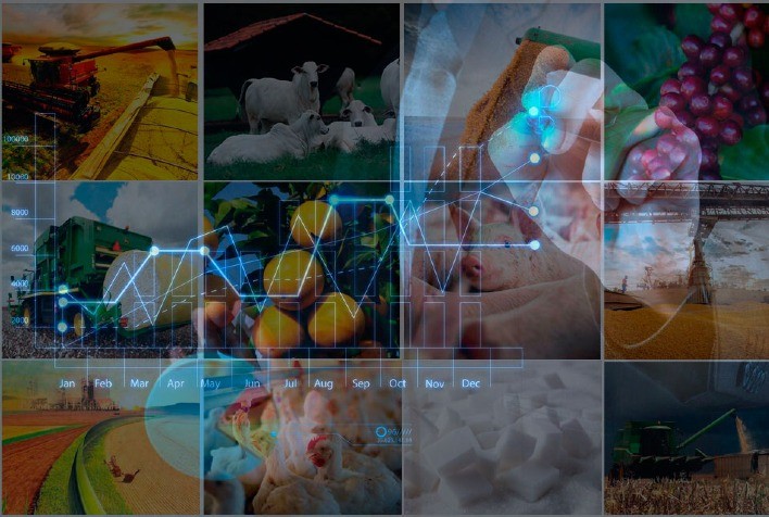 Semana da Agricultura e agronegócio em expansão: Brasil registra superávit recorde de US＄ 74 bilhões no primeiro semestre