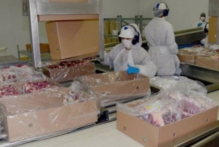 Detalhamento das exportações de carne bovina no primeiro semestre de 2023