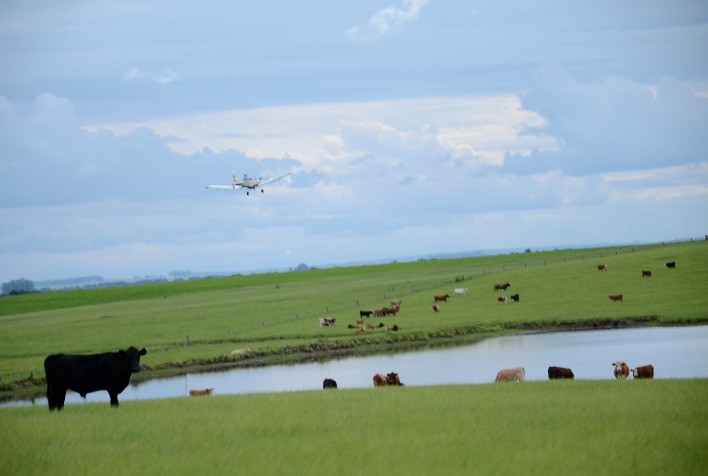 Produtor rural deve ficar atento a informações relevantes na hora de declarar o ITR