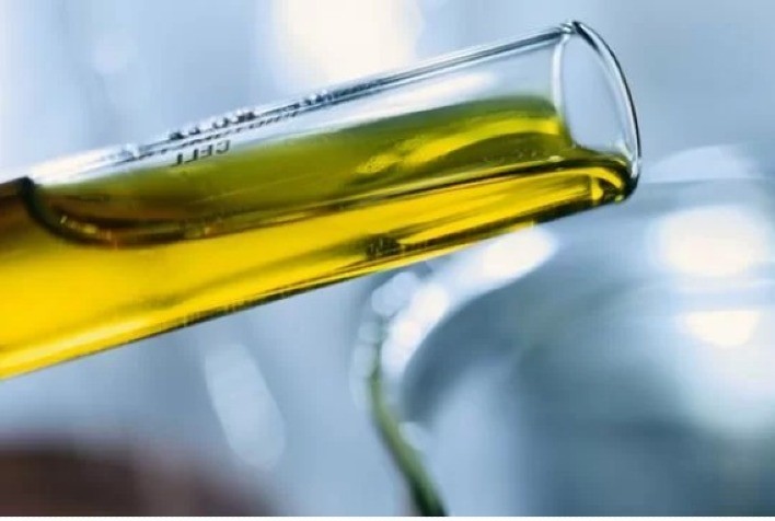 Produção global de biocombustíveis precisa acelerar para net zero