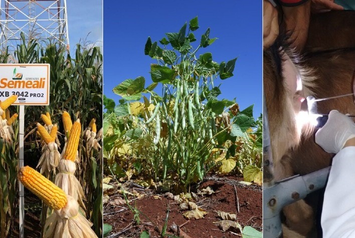 Embrapa lançará três tecnologias no Semiárido Show 2023