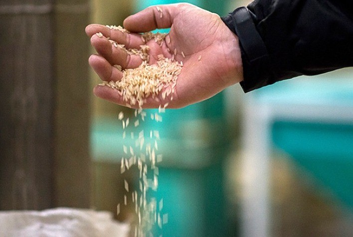 Vendedor mantém postura retraída e preços do arroz seguem trajetória de alta em julho