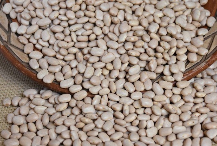BRS FS307 – a nova cultivar de feijão mulatinho para o Nordeste