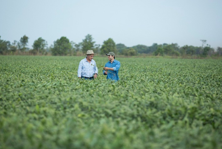 Syngenta lança VERDAVIS® e SPONTA®, soluções inovadoras desenvolvidas a partir da tecnologia PLINAZOLIN®