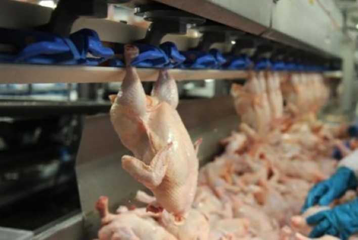 Desempenho do frango abatido em julho e nos sete primeiros meses de 2023