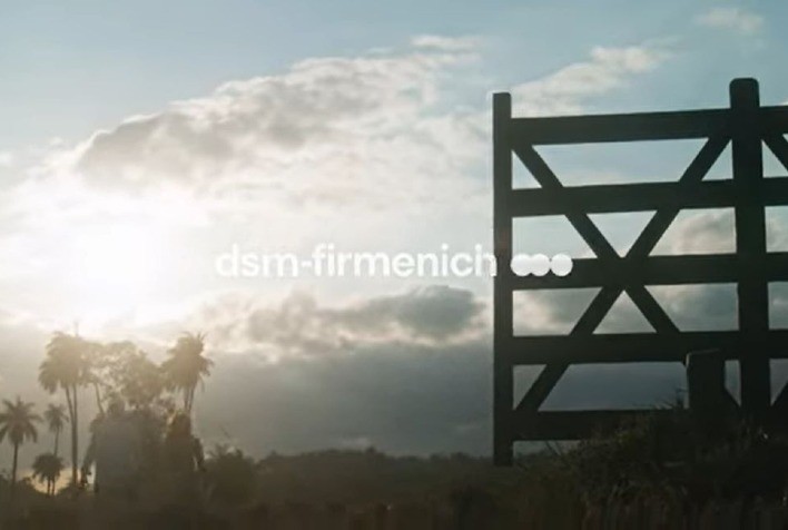 Tortuga e Prodap agora são dsm-firmenich