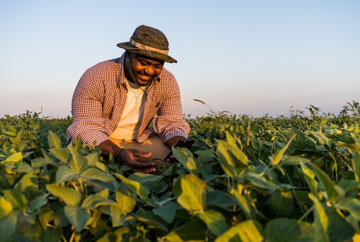 AMAGGI estreia no e-commerce com plataforma própria desenvolvida pela Agrega Agro