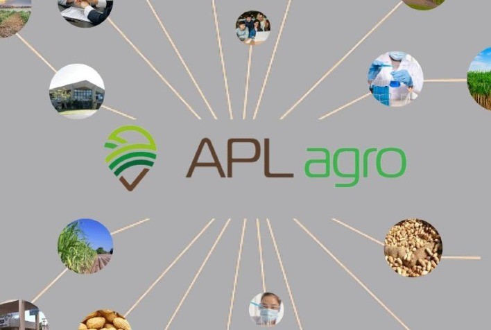 Arranjos Produtivos Locais potencializam setor regional do agro
