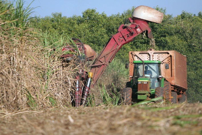 Agronegócio registra saldo positivo de 9.855 empregos no primeiro semestre e coloca Goiás na primeira posição entre os Estados do Centro-Oeste