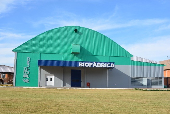 Beneficiamento do ALGODÃO - Mato Grosso/A Grandiosidade do AGRONEGÓCIO BRASILEIRO
