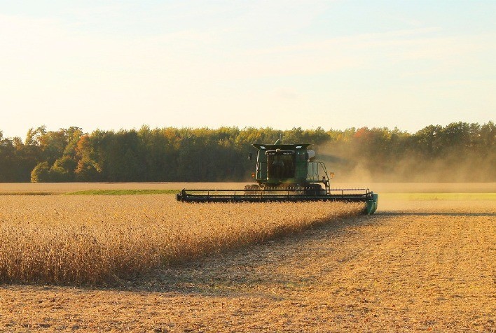 Ultimação da colheita garante direitos dos arrendatários sobre a produção