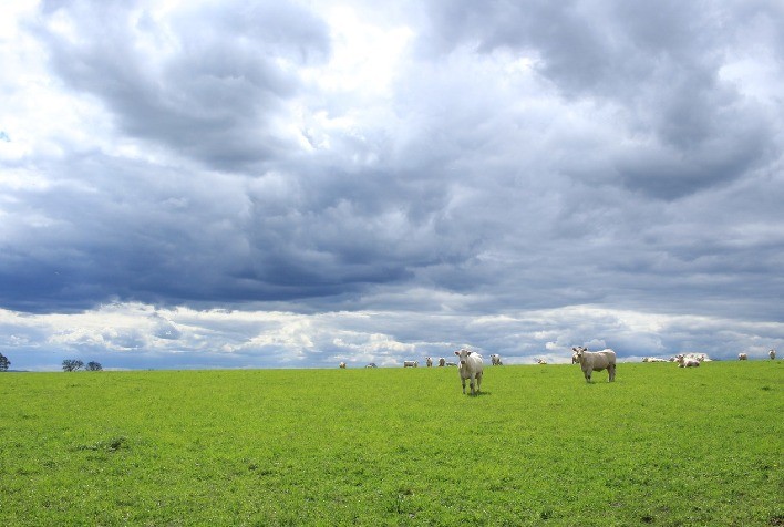 Cinco fatos que você não sabe sobre a previsão do tempo no setor agrícola