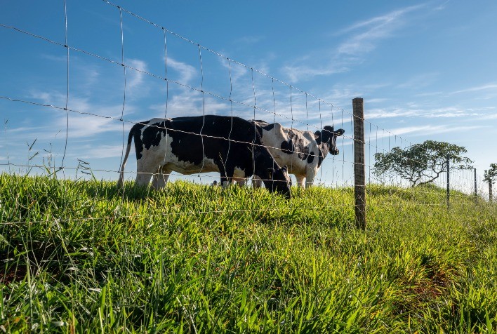 Belgo Arames leva soluções que contribuem com a produção leiteira no Agroleite 2023