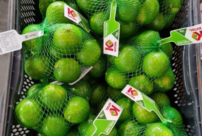 Investimento em tecnologia faz Katira ser uma das grandes produtoras nacionais de limão tahiti