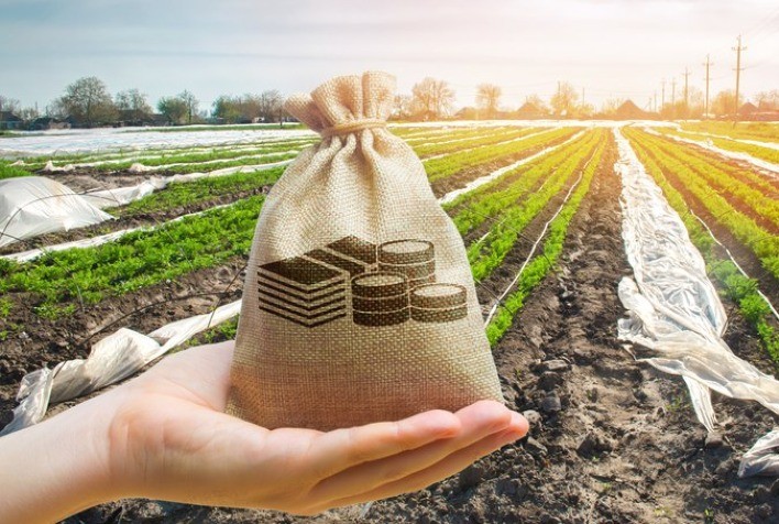 LCA e CPR seguem aquecidas no financiamento privado da agricultura