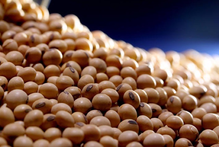 Soja 2022-23: Mercado de sementes cresce 18%, para R$ 24,5 bilhões