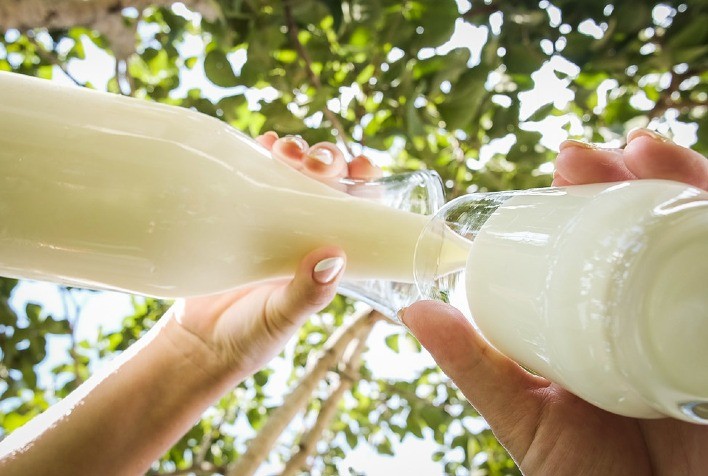 Produtores vão à Brasília contra a importação de leite