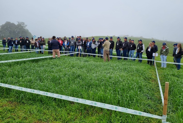 Dia de Campo demonstra cultivares de pastagem de inverno anual no Vale do Itajaí