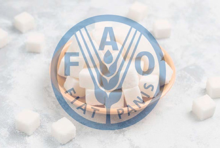 Açúcar: indicador de preços da FAO cai pelo segundo mês consecutivo em julho