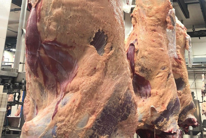 Frigoríficos forçam queda nos preços do boi, alegando fraca receita na exportação