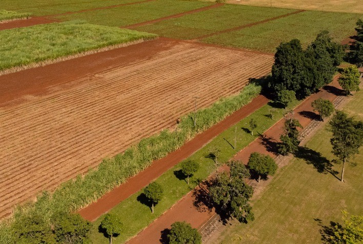 Bolsas de R$ 1.200: Programa de Residência Agrícola abre seleção para estudantes e recém-formados