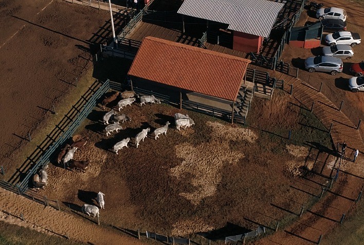 Brahman anuncia os vencedores da 3ª Prova Eficiência e Performance