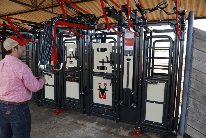 Atualizar a contenção bovina é estratégia para alavancar produtividade e o lucro da atividade pecuária