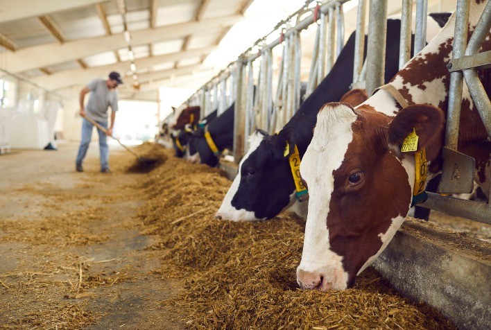 No Canadá, Kemin apresenta pesquisas importantes no ADSA (American Dairy Science Association)