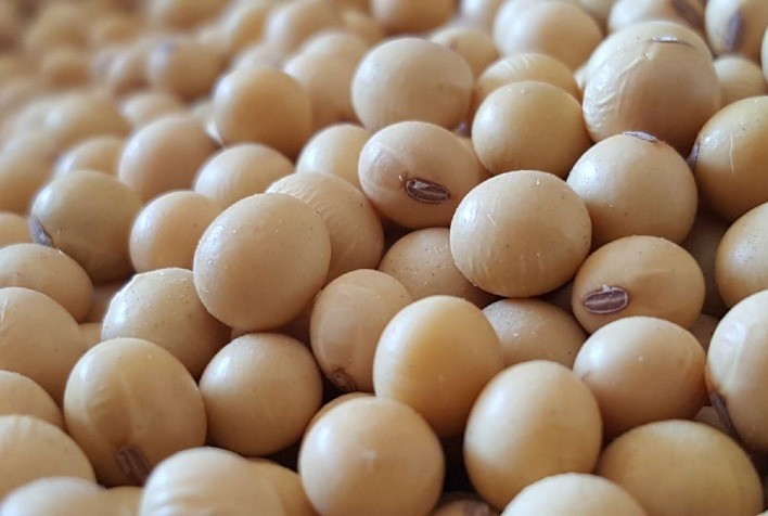Esmagadoras de soja assumem importante posição como atividade agrícola que agrega valor ao grão