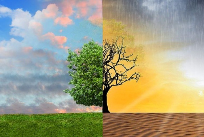 Novas ferramentas genéticas e as mudanças climáticas