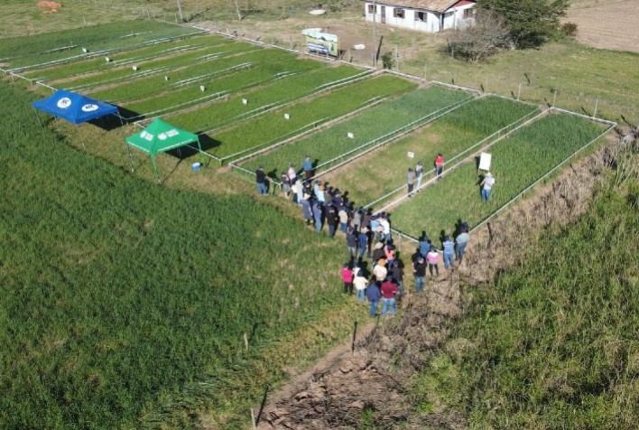 Dias de Campo e Oficinas Técnicas contribuem para uma produção sustentável