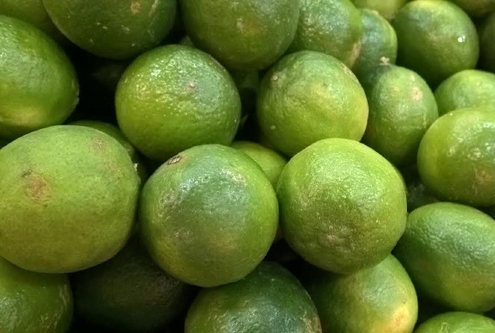 Preços pagos ao produtor de limão taiti disparada