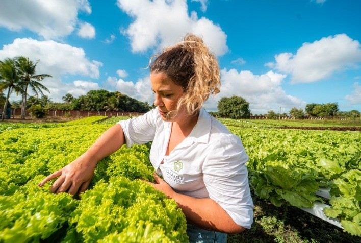 Produtoras rurais do Nordeste se destacam por boas práticas agrícolas na região