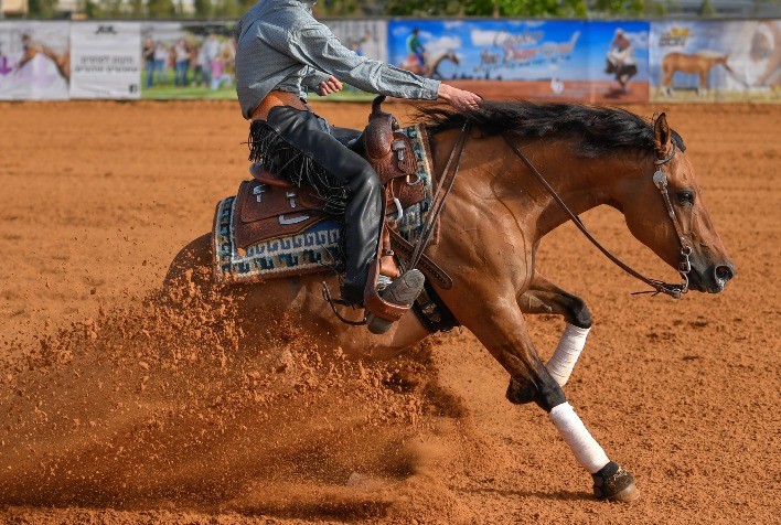 Cuidados adequados podem evitar aposentadoria precoce de cavalos atletas por doença articular degenerativa