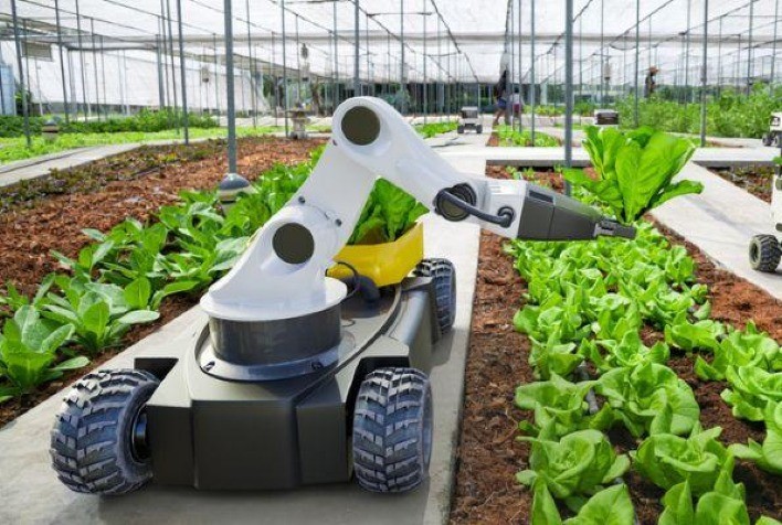 Robótica e automação na agricultura: aplicações presentes e futuras
