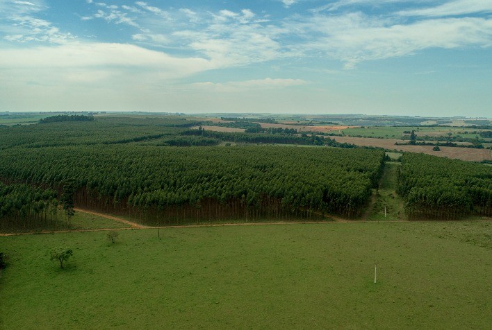 Política de meio ambiente do Laticínio Scala engloba reflorestamento, energia renovável, logística reversa, reuso de água e reciclagem de resíduos