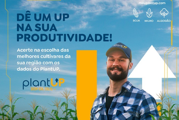Produtores de algodão e milho podem utilizar o PlantUP para preparar a próxima safra