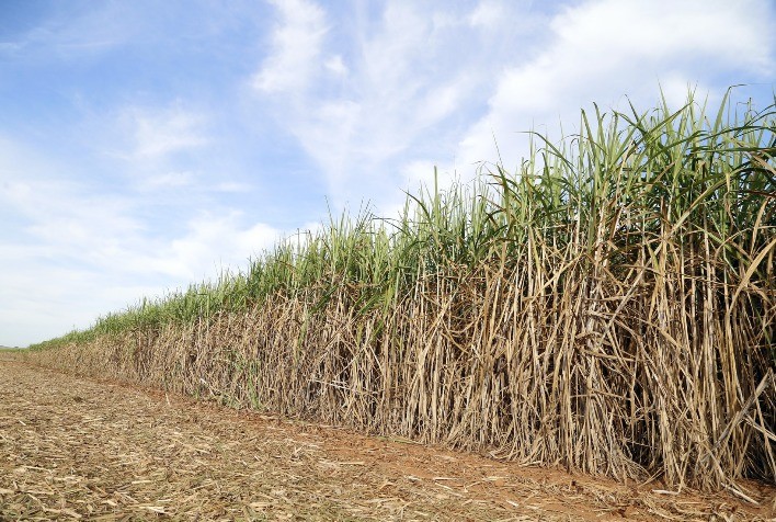 Setor de bioenergia ganha eficiência com aplicação da geotecnologia