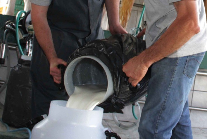 Medidas do governo não contemplam produtos importados que causam queda do preço do leite