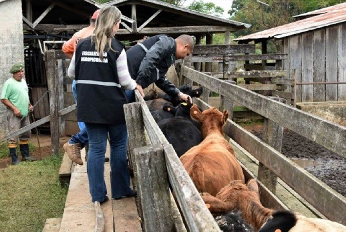 Técnicos do Ministério da Agricultura e Pecuária percorrerão 12 cidades de Mato Grosso para subsidiar elaboração de programa financiado pelo BID