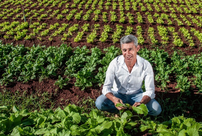 Governo de Goiás divulga lista dos agricultores aprovados no Programa de Aquisição de Alimentos 2023