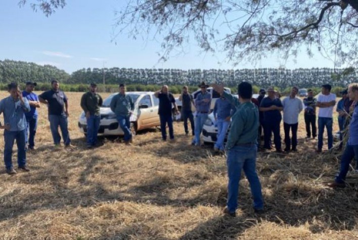 AGRO: Cocamar promove o Giro Técnico de Mandioca no noroeste do Paraná