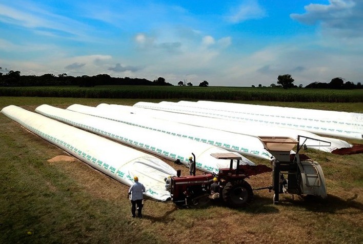 Venda recorde de silo-bolsa ajuda a amenizar o déficit de armazenamento no Brasil