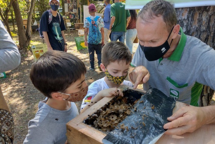 Visitantes poderão conhecer 15 diferentes espécies de abelhas sem ferrão na Expointer