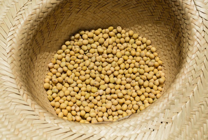 Syngenta Seeds comemora o Dia da Semente em homenagem ao produtor rural