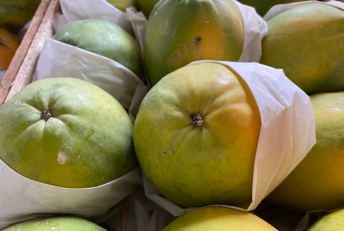 Mamão papaia é destaque entre os favoráveis para compra nesta semana (21 a 25/08)