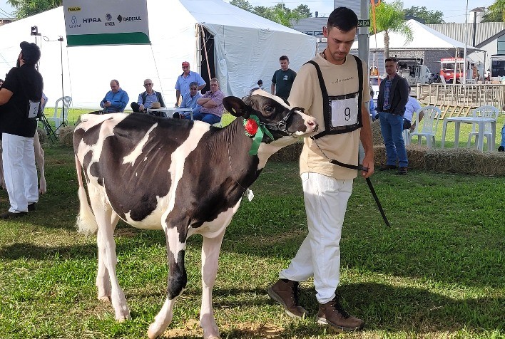 Cotribá terá novidades na Expointer para associados e visitantes