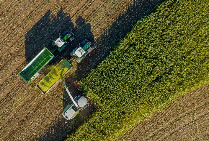 Aditivo conservante garante silagem e feno de qualidade além de aumentar o rendimento de matéria seca