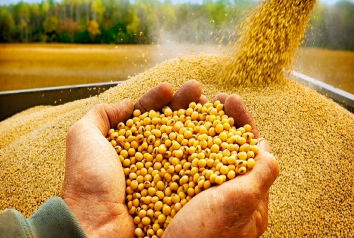 Soja: Mercado vem registrando semana de volatilidade e, nesta 5ª feira, testa leves altas